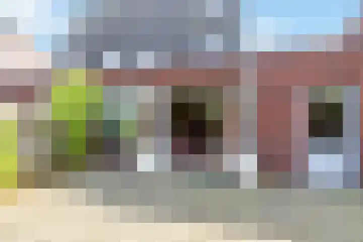 Ringmus 47 Olst thumbnail 32