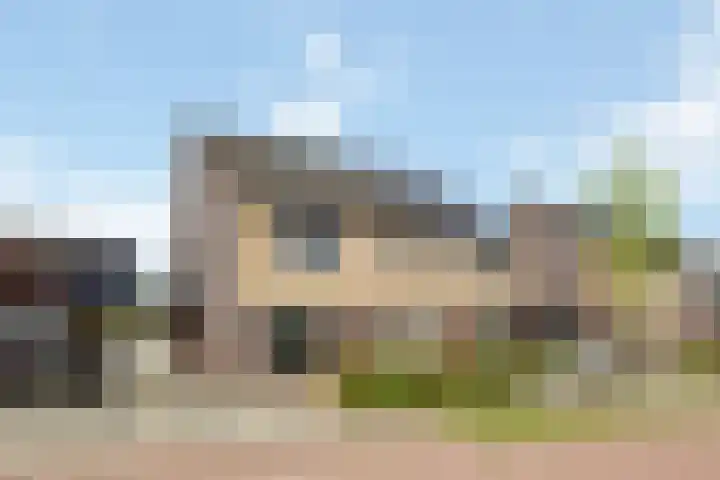 Ringmus 47 Olst thumbnail 38