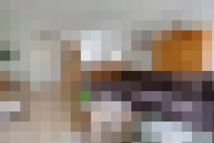 Ringmus 47 Olst thumbnail 4
