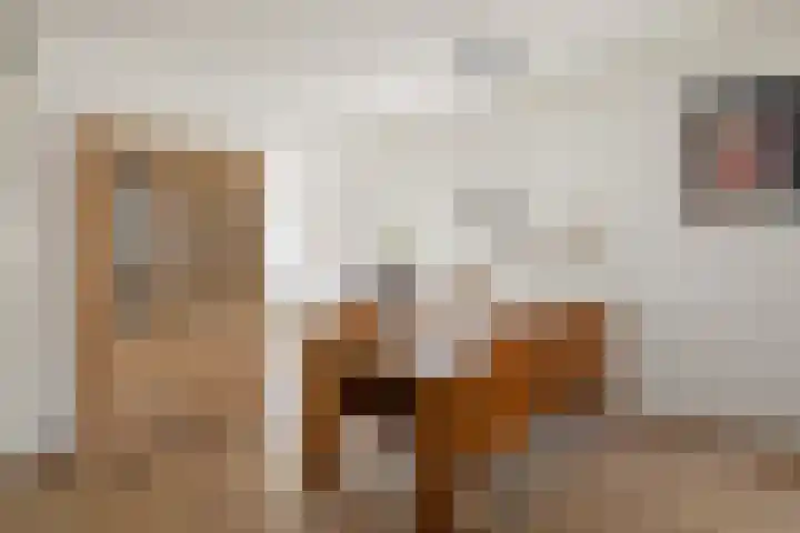 Ringmus 47 Olst thumbnail 8