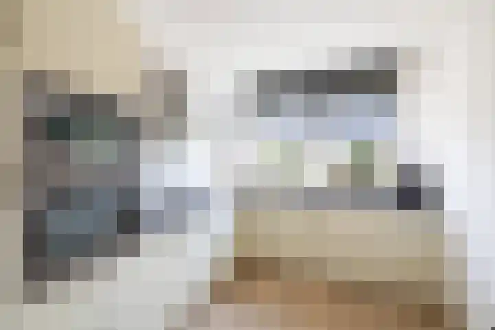 Ringmus 47 Olst thumbnail 9