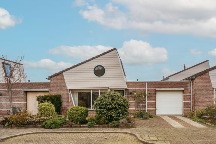 Ringmus 78 en Heemskerk foto