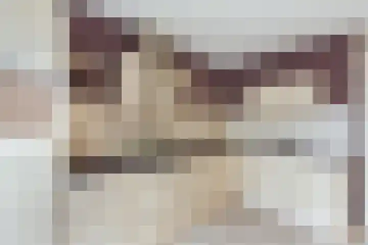 Ringmus 78 Heemskerk thumbnail 10