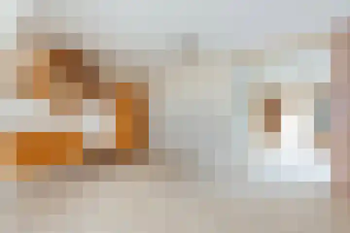 Ringmus 78 Heemskerk thumbnail 11