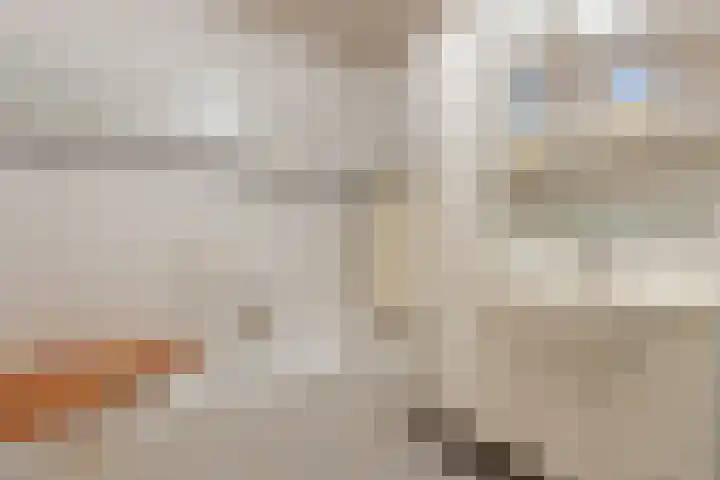 Ringmus 78 Heemskerk thumbnail 16