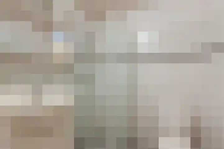 Ringmus 78 Heemskerk thumbnail 17