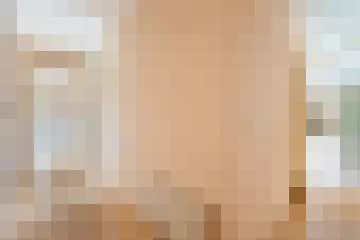 Ringmus 78 Heemskerk thumbnail 18