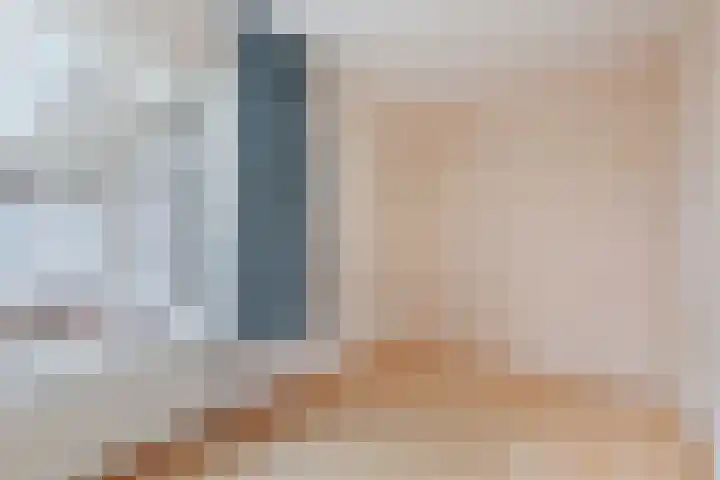 Ringmus 78 Heemskerk thumbnail 19