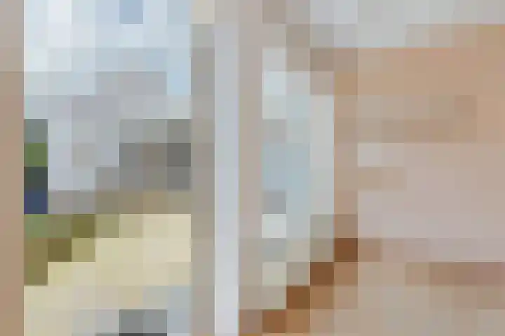 Ringmus 78 Heemskerk thumbnail 24