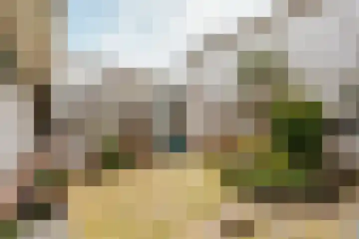 Ringmus 78 Heemskerk thumbnail 25