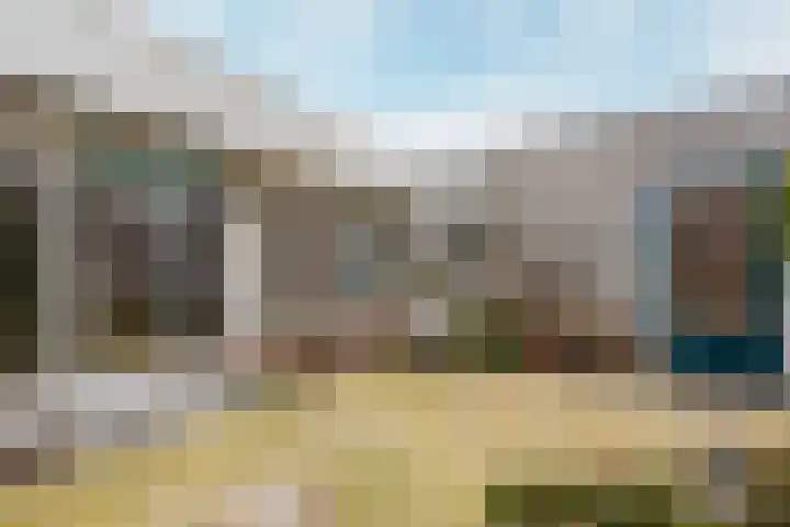 Ringmus 78 Heemskerk thumbnail 26