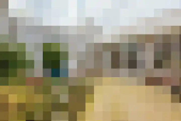 Ringmus 78 Heemskerk thumbnail 27