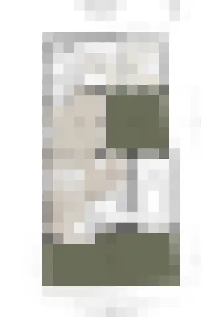 Ringmus 78 Heemskerk thumbnail 28