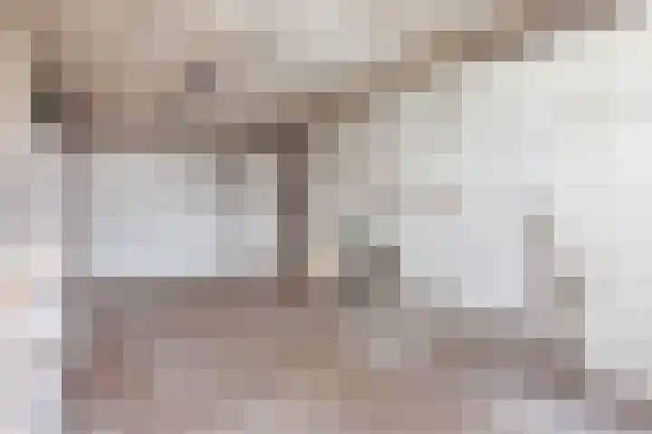 Ringmus 78 Heemskerk thumbnail 31