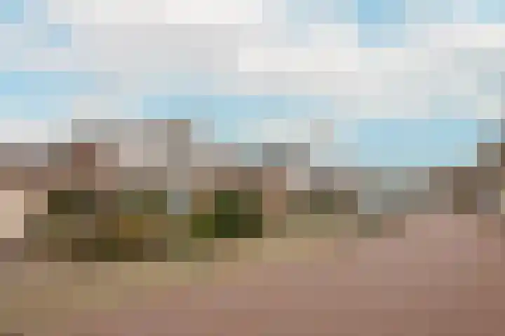 Ringmus 78 Heemskerk thumbnail 32