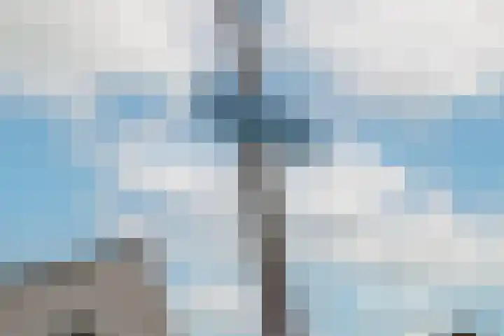 Ringmus 78 Heemskerk thumbnail 33