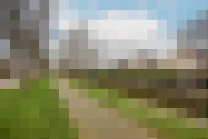 Ringmus 78 Heemskerk thumbnail 34