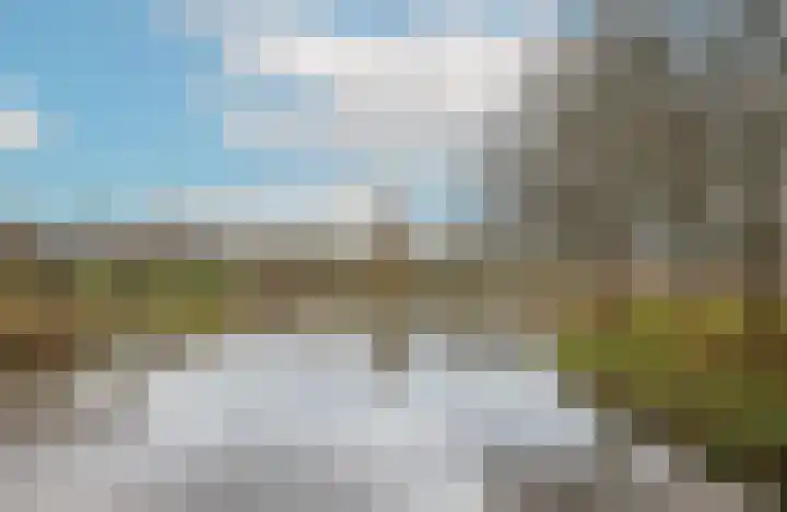 Ringmus 78 Heemskerk thumbnail 35