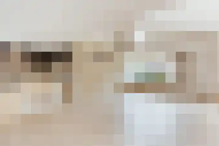 Ringmus 78 Heemskerk thumbnail 4