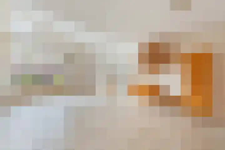 Ringmus 78 Heemskerk thumbnail 5
