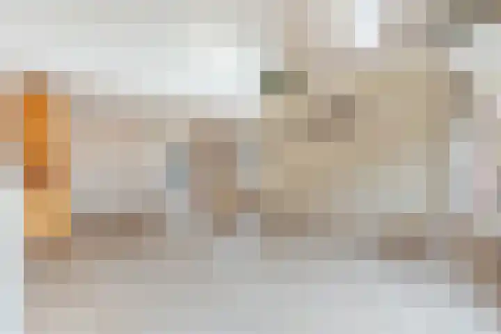 Ringmus 78 Heemskerk thumbnail 6