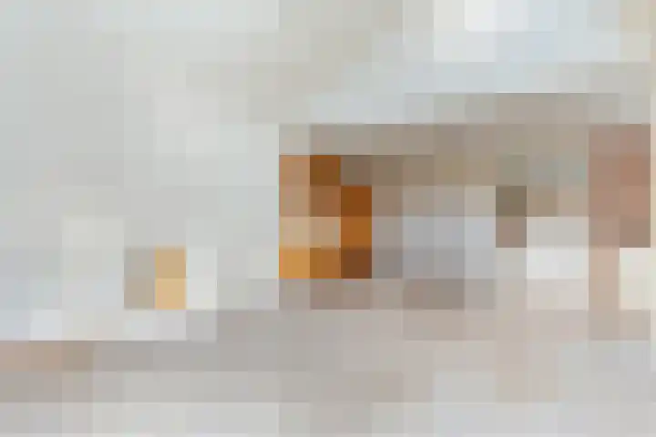Ringmus 78 Heemskerk thumbnail 7