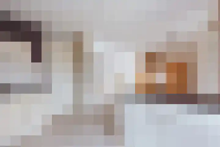Ringmus 78 Heemskerk thumbnail 8