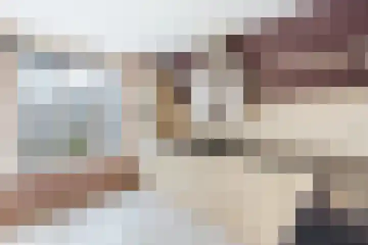 Ringmus 78 Heemskerk thumbnail 9