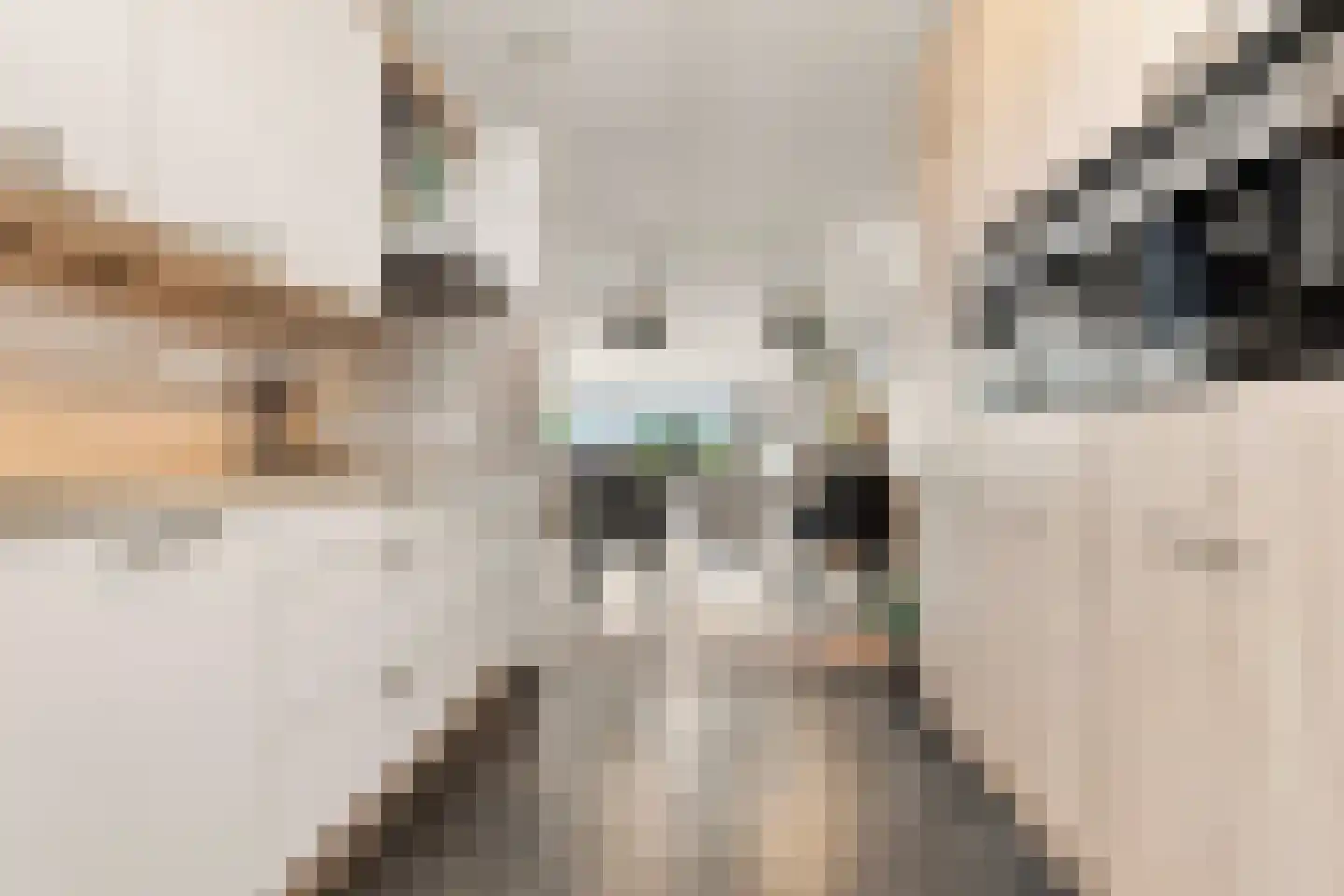 Ringmus 9 Heemskerk thumbnail 10