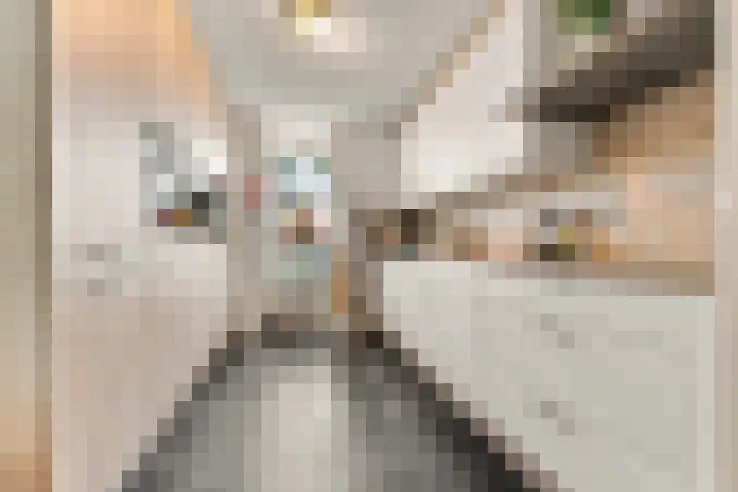 Ringmus 9 Heemskerk thumbnail 11
