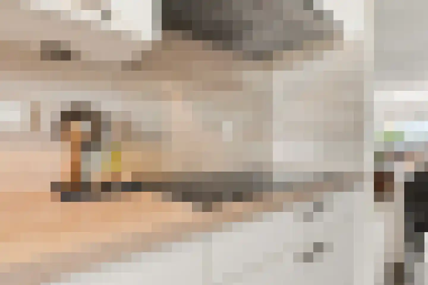Ringmus 9 Heemskerk thumbnail 13
