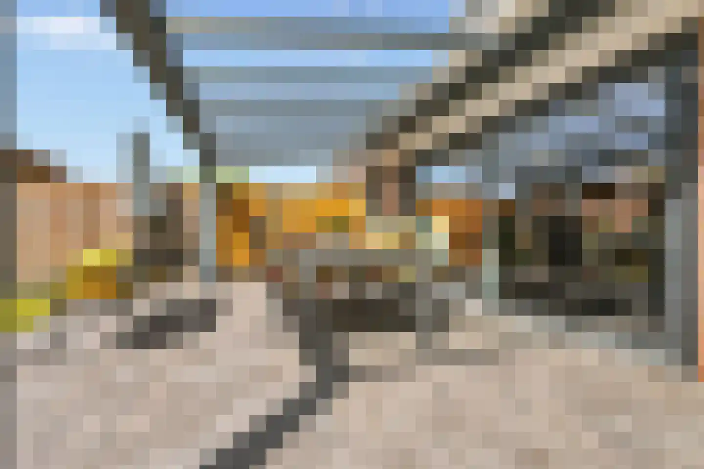 Ringmus 9 Heemskerk thumbnail 14