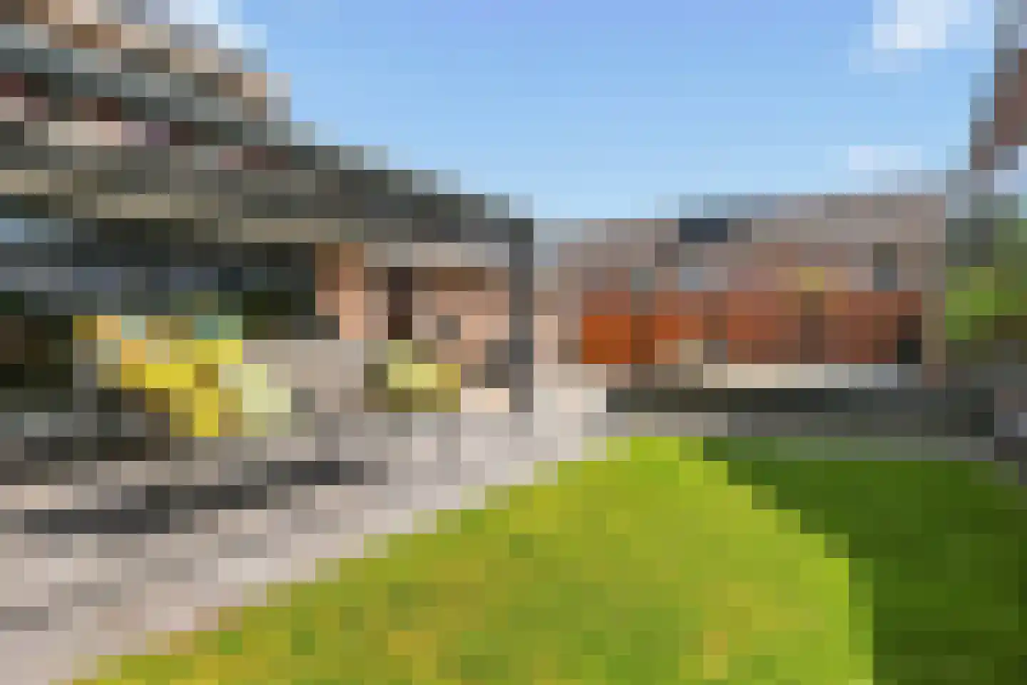 Ringmus 9 Heemskerk thumbnail 16