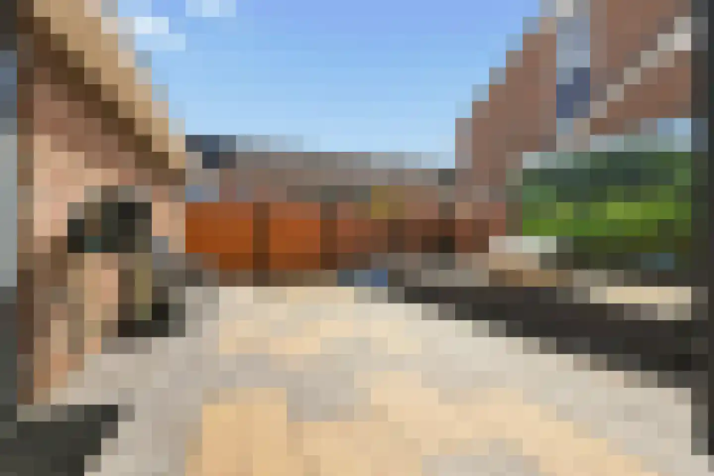 Ringmus 9 Heemskerk thumbnail 17