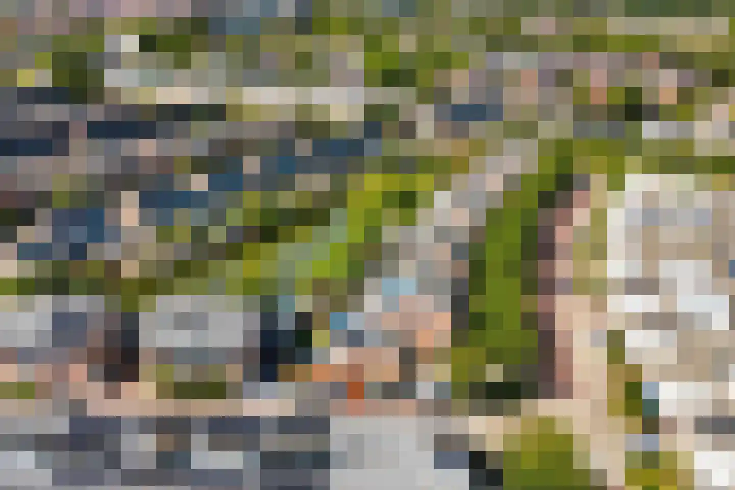 Ringmus 9 Heemskerk thumbnail 21