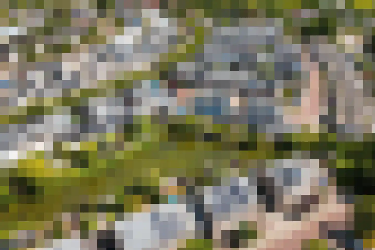 Ringmus 9 Heemskerk thumbnail 22
