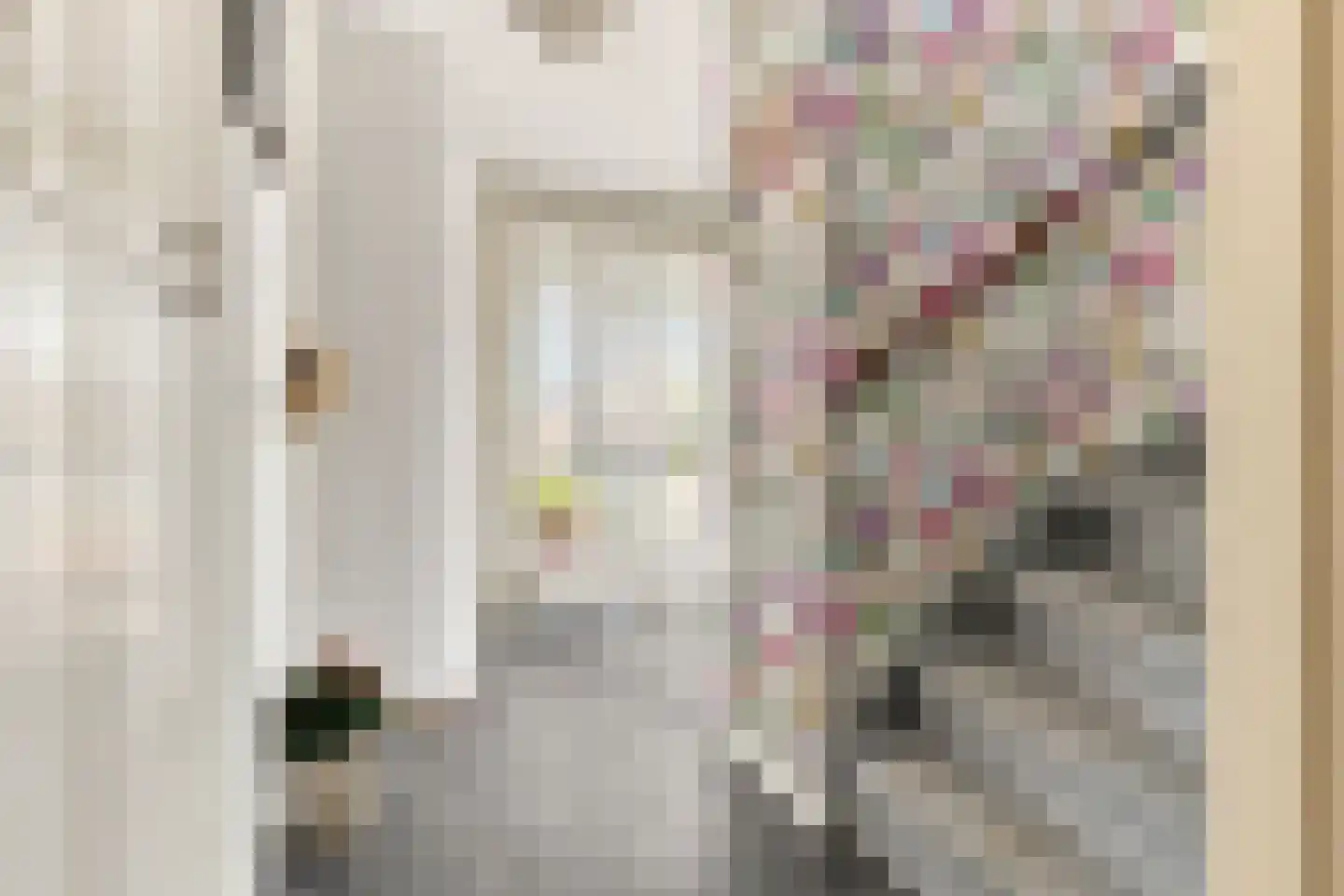 Ringmus 9 Heemskerk thumbnail 23