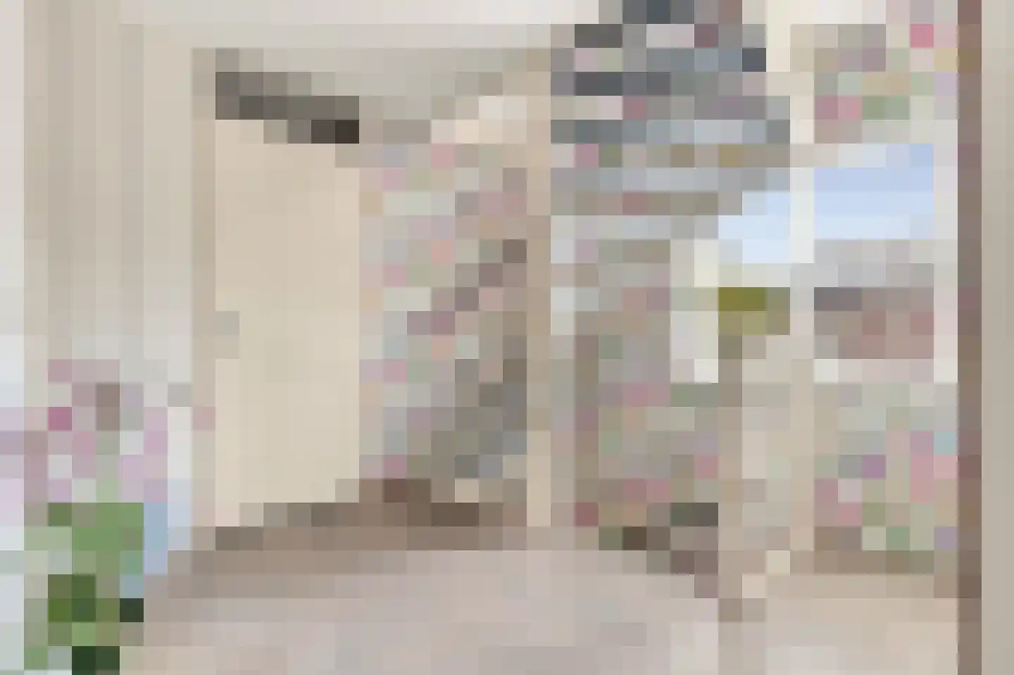 Ringmus 9 Heemskerk thumbnail 25