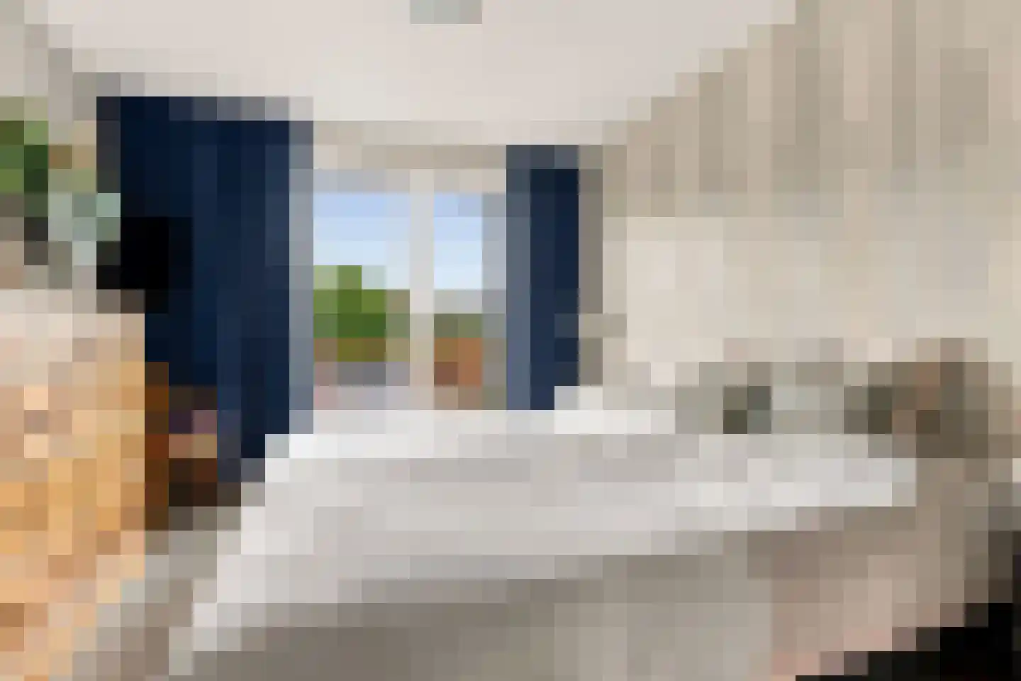 Ringmus 9 Heemskerk thumbnail 26