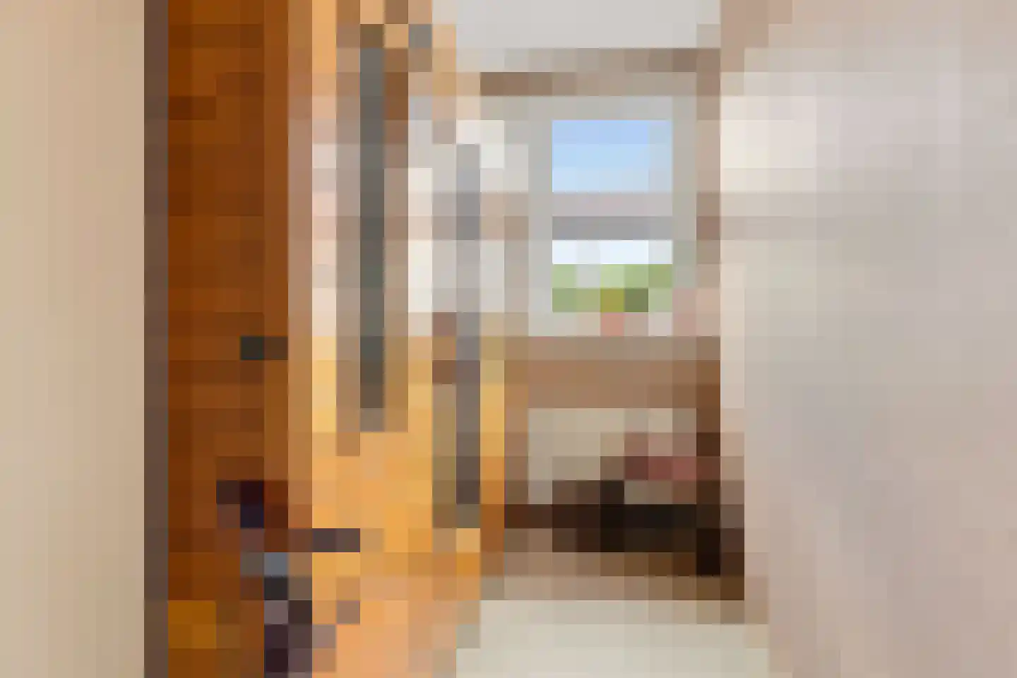 Ringmus 9 Heemskerk thumbnail 28