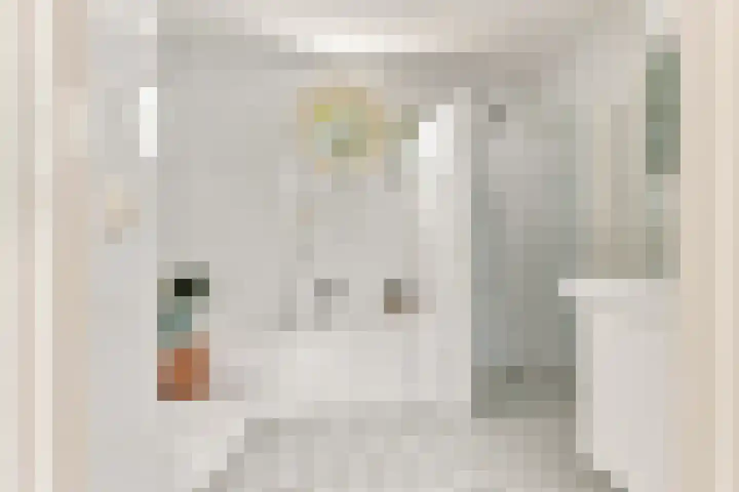 Ringmus 9 Heemskerk thumbnail 31