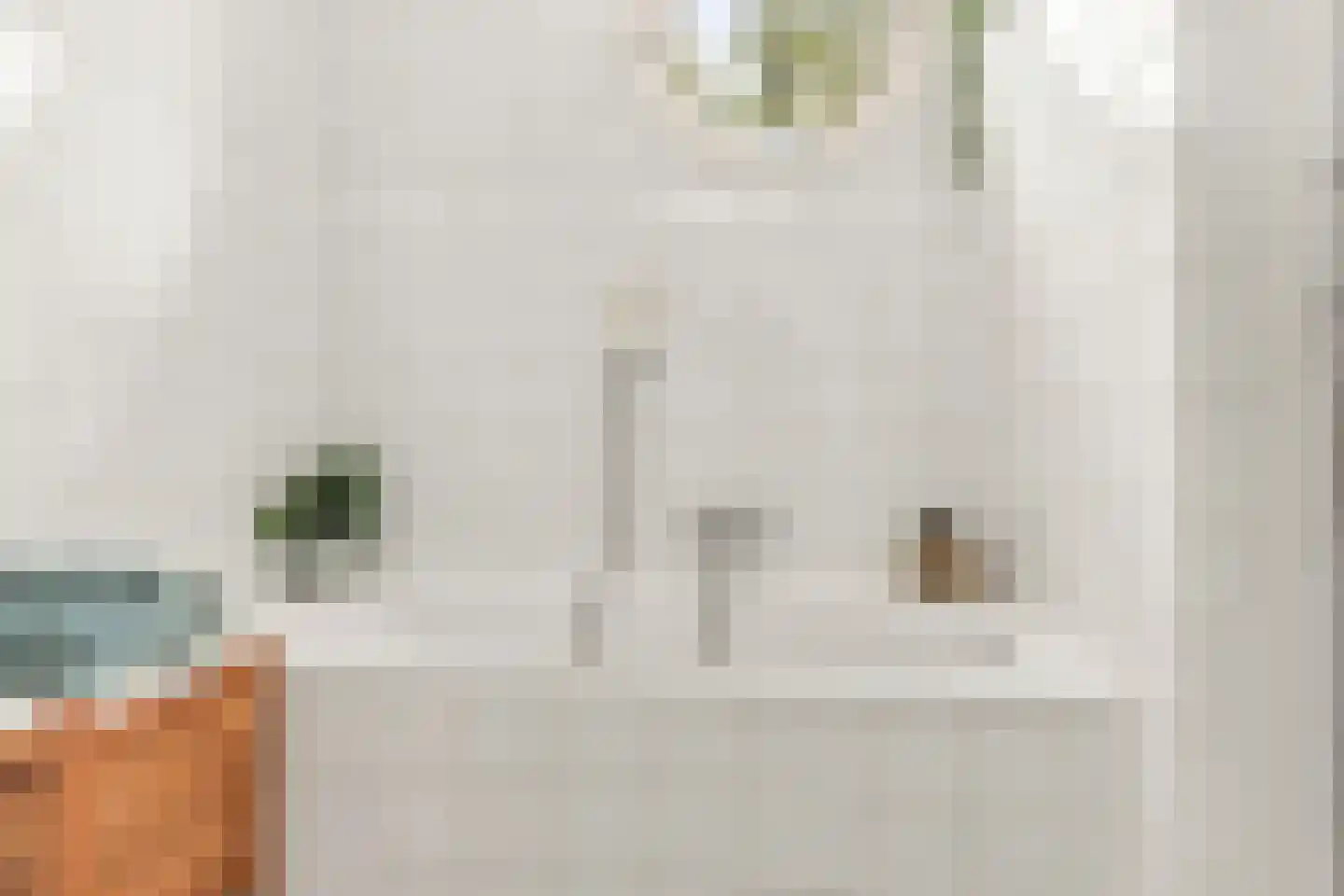 Ringmus 9 Heemskerk thumbnail 32