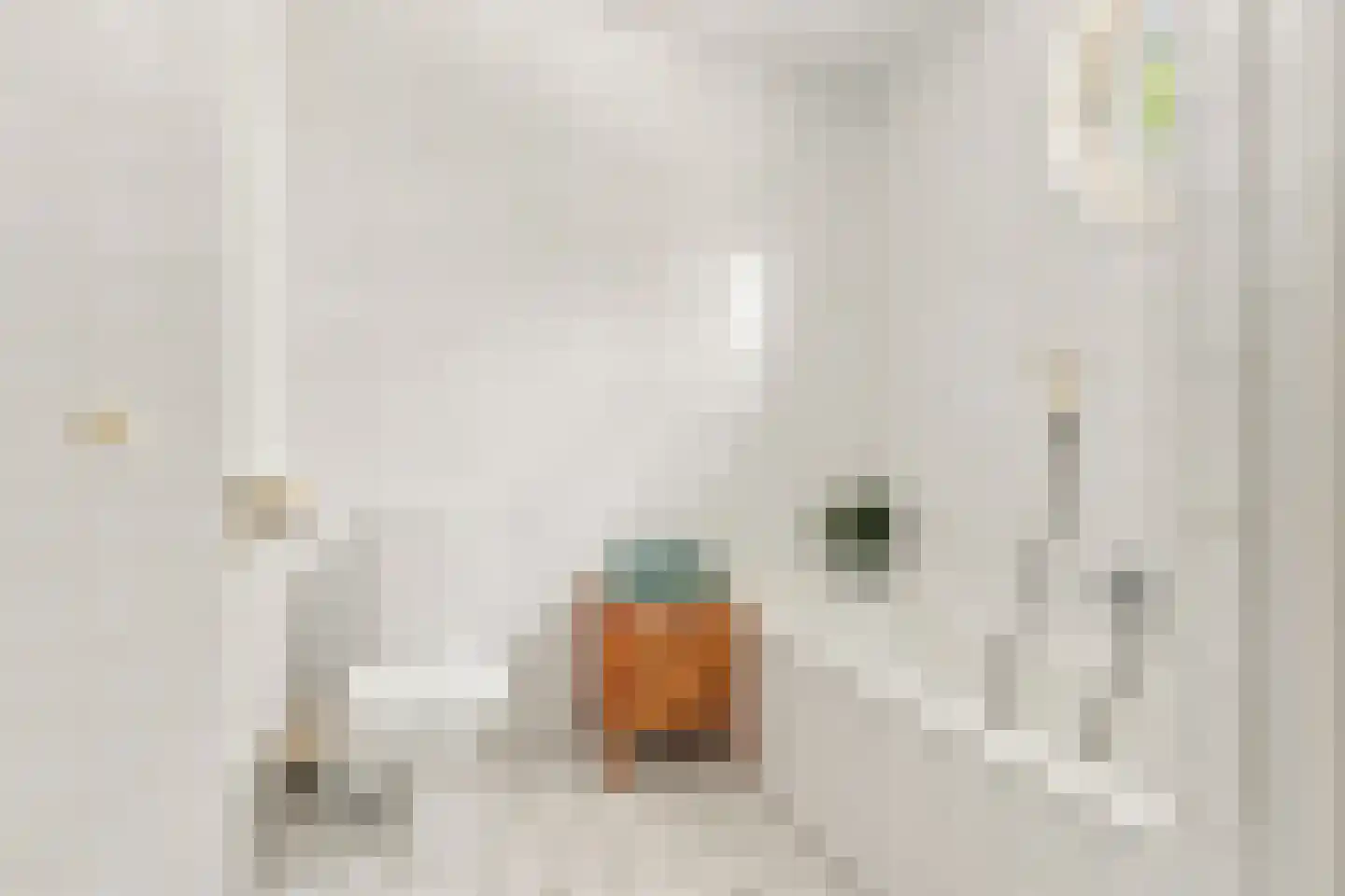 Ringmus 9 Heemskerk thumbnail 33
