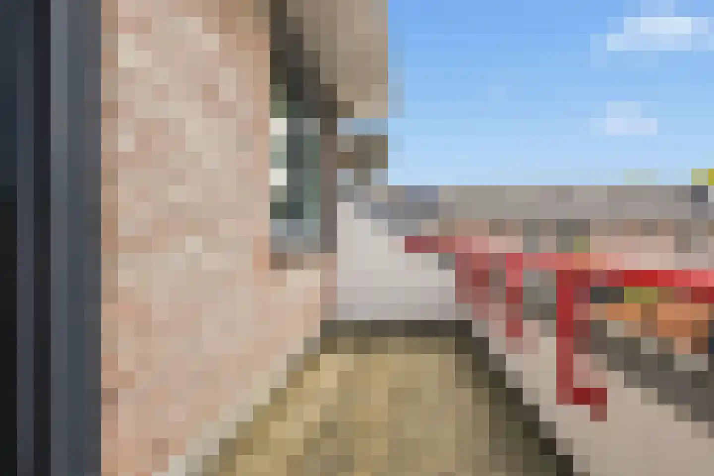 Ringmus 9 Heemskerk thumbnail 36