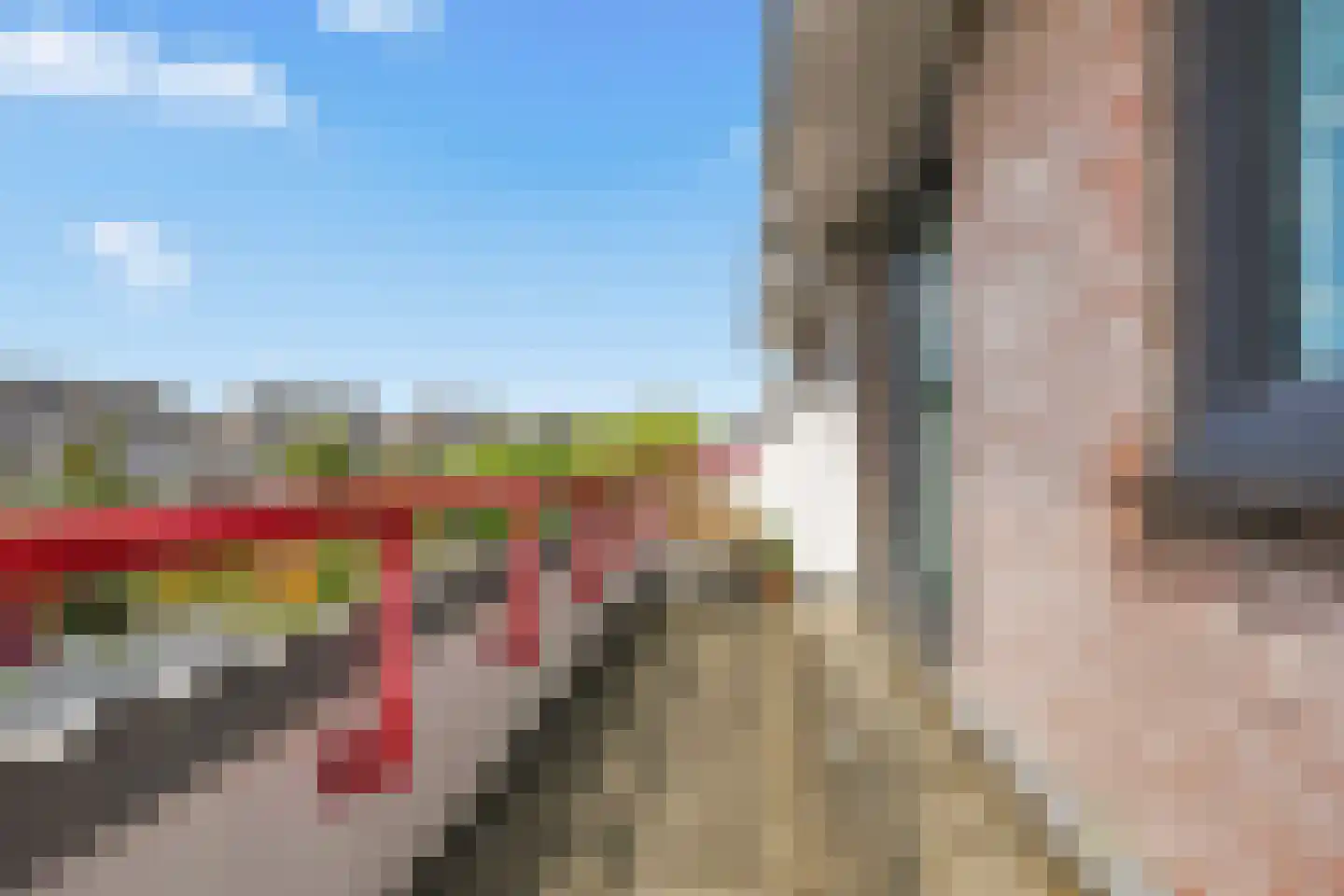 Ringmus 9 Heemskerk thumbnail 37