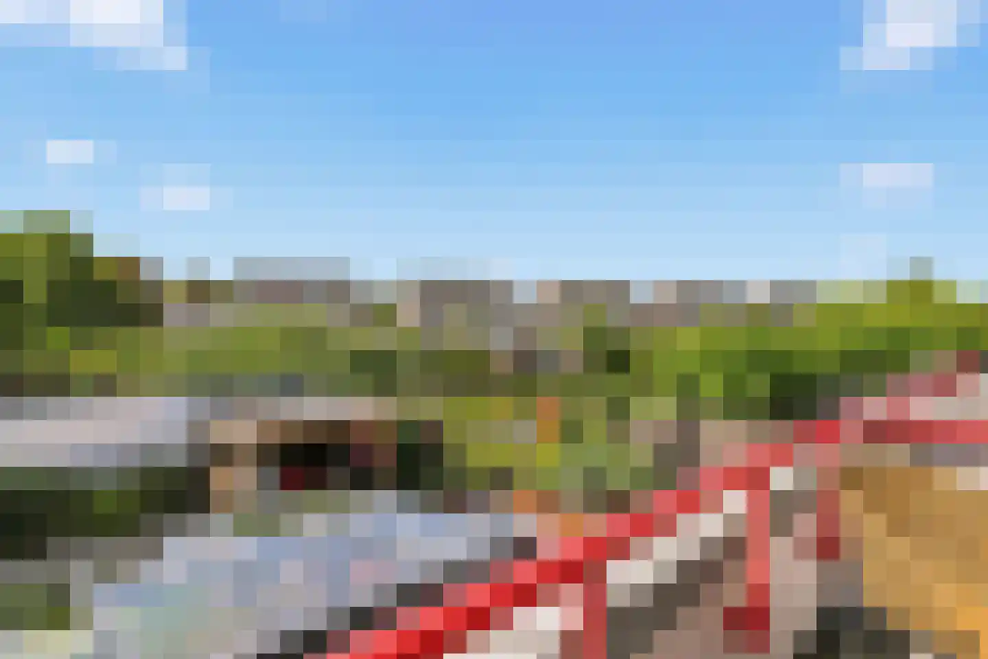 Ringmus 9 Heemskerk thumbnail 38