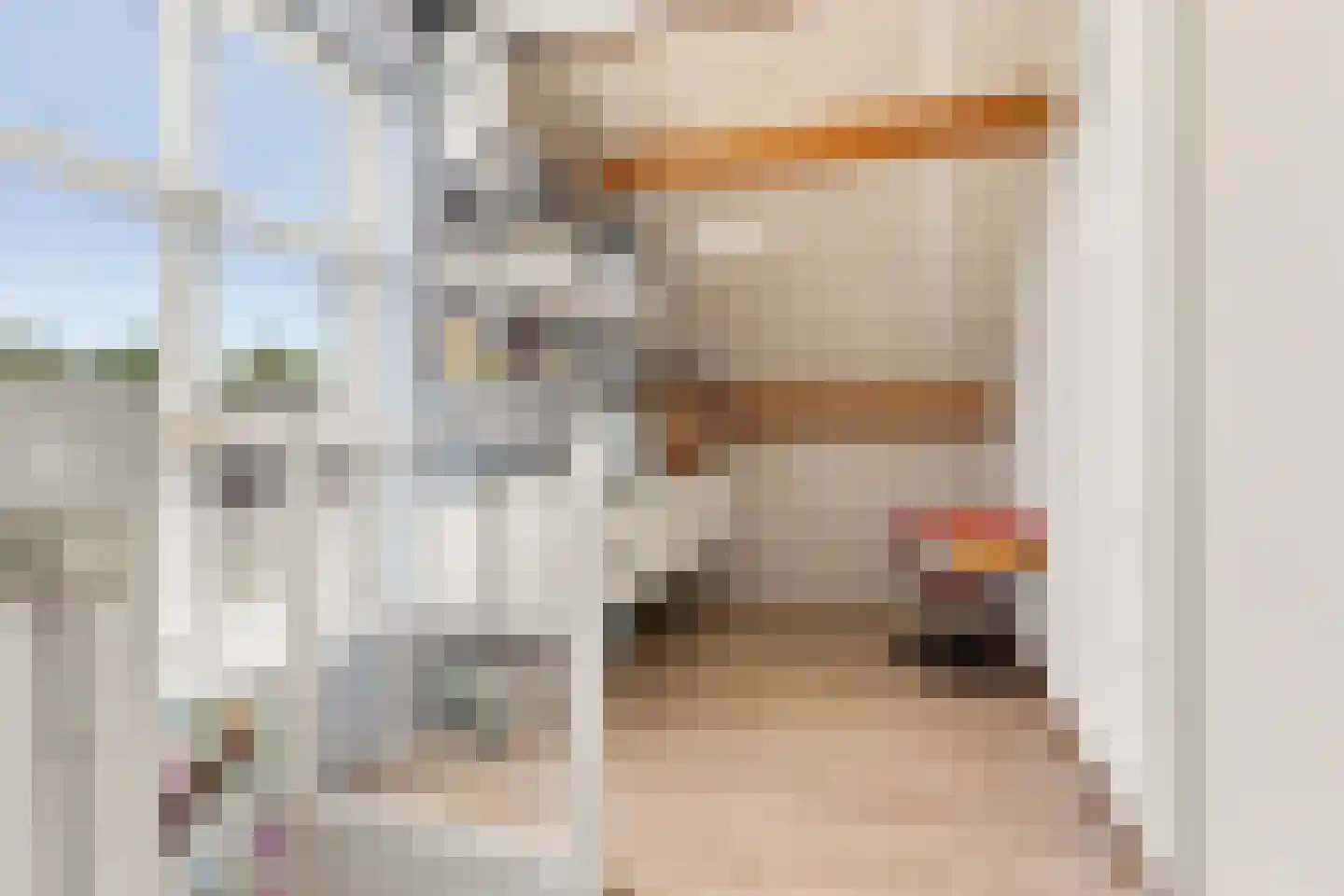 Ringmus 9 Heemskerk thumbnail 39