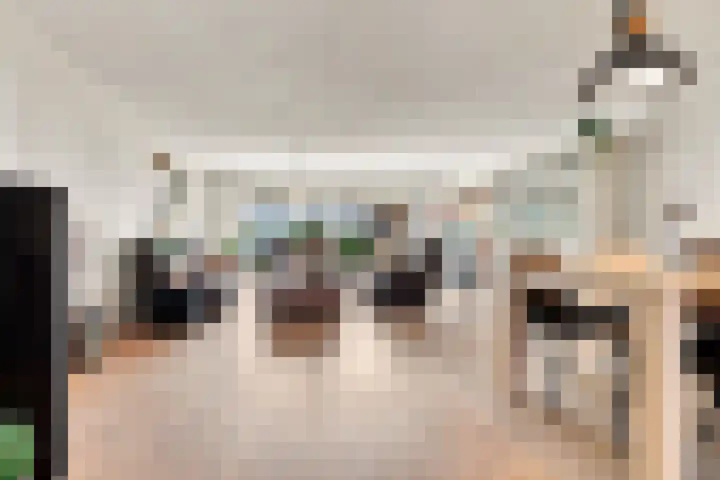 Ringmus 9 Heemskerk thumbnail 4