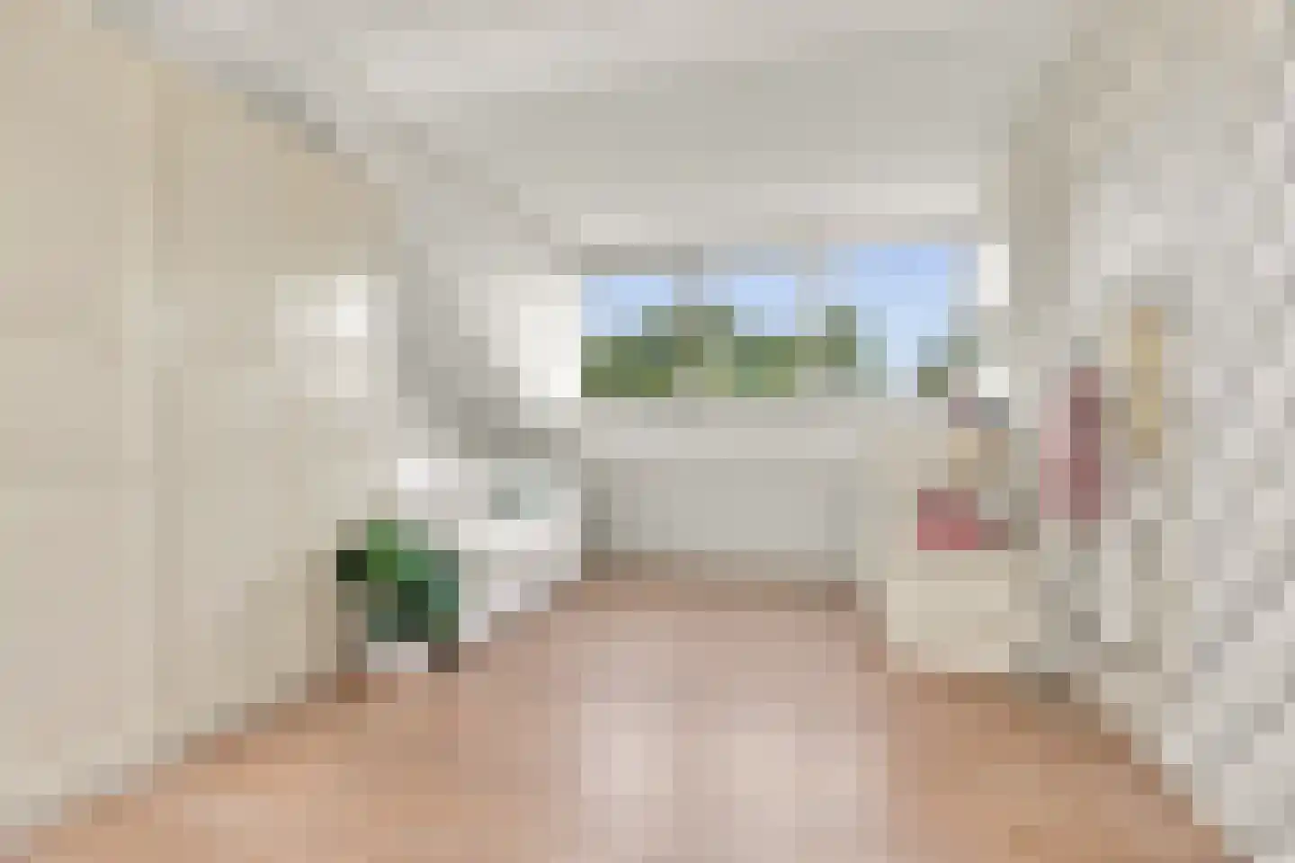 Ringmus 9 Heemskerk thumbnail 40