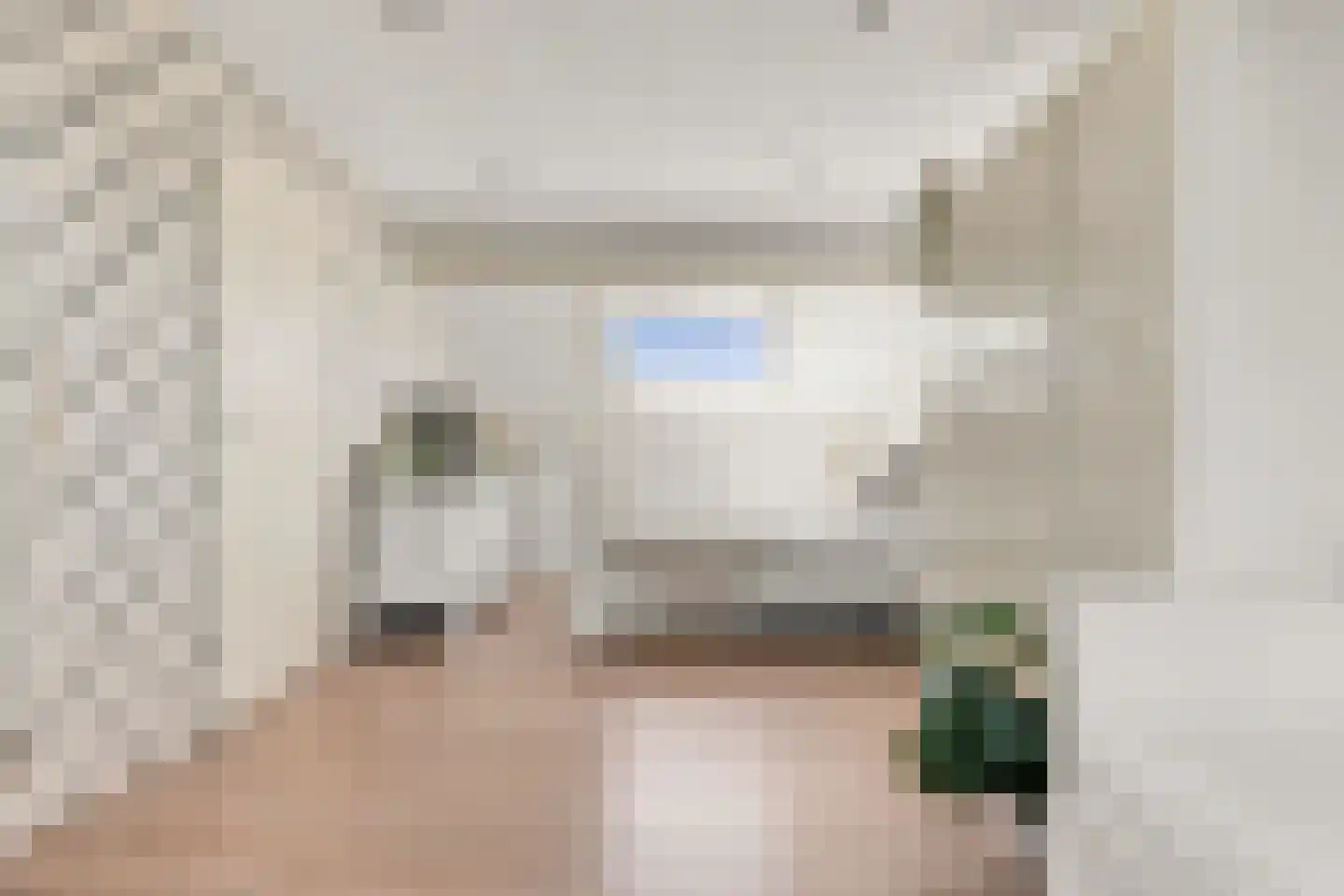 Ringmus 9 Heemskerk thumbnail 41